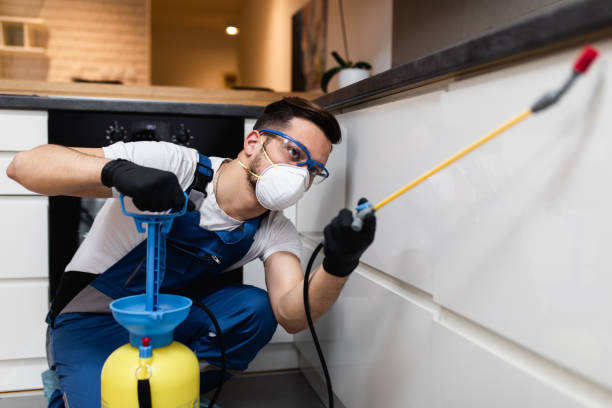 Best Bed Bug Extermination  in Moreauville, LA