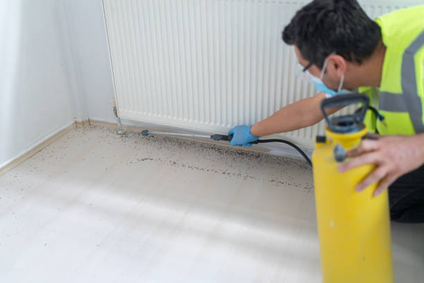 Best Flea Control Services  in Moreauville, LA